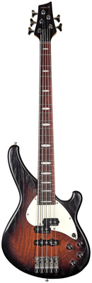 Sandberg Custom 5 Yolanda Charles Sig